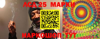 apvp Бердск
