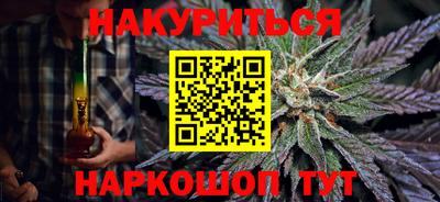 apvp Бердск