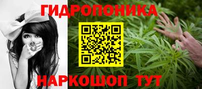 apvp Бердск