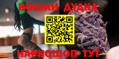 apvp Бердск