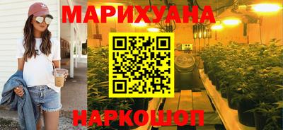 apvp Бердск