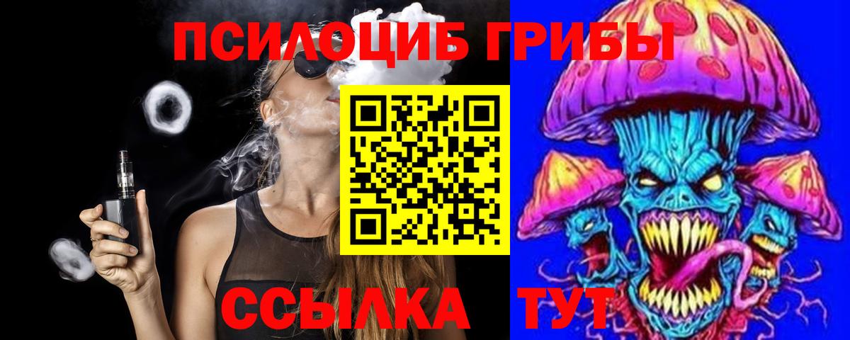 Галлюциногенные грибы GOLDEN TEACHER  Вход с VPN  где купить наркотик  Гурьевск 