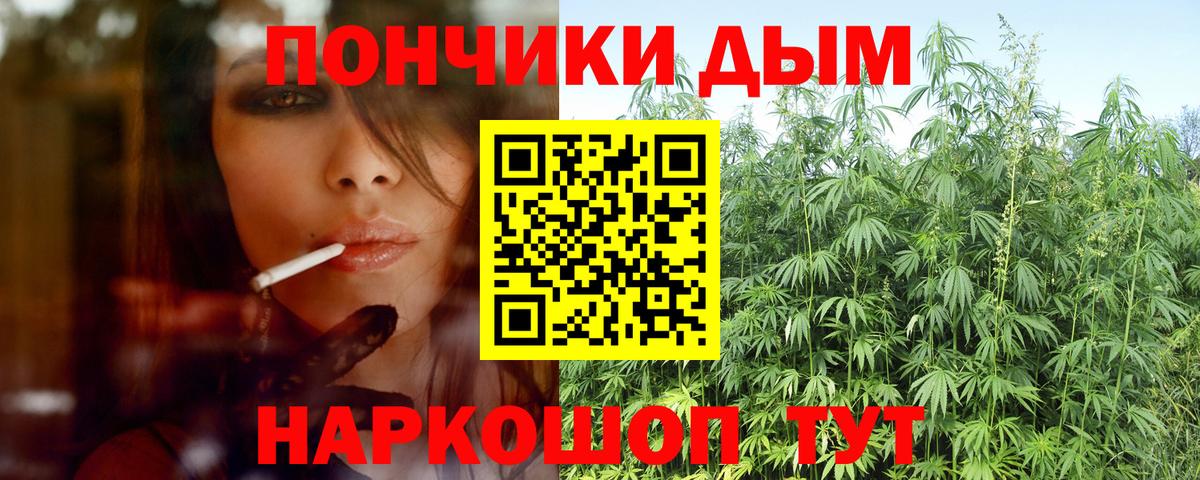 Бошки марихуана White Widow Гурьевск